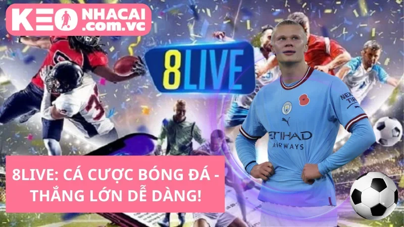 8LIVE: Cá cược bóng đá - Thắng lớn dễ dàng!