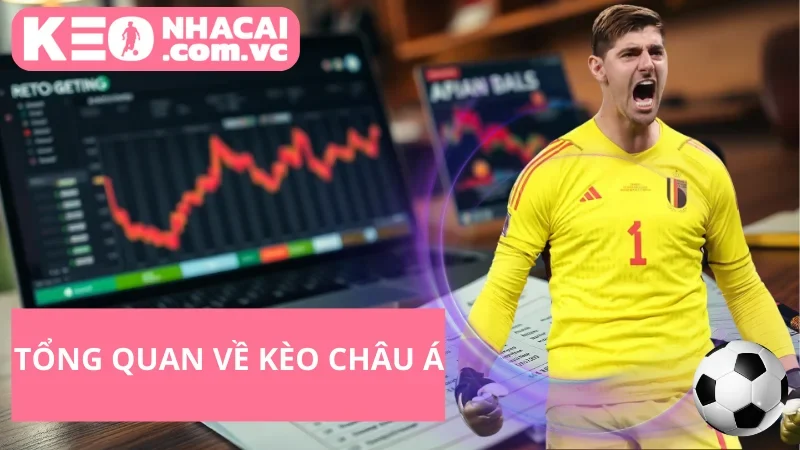 Kèo châu Á: Hướng dẫn, Cách Đọc & Kinh Nghiệm Soi Kèo