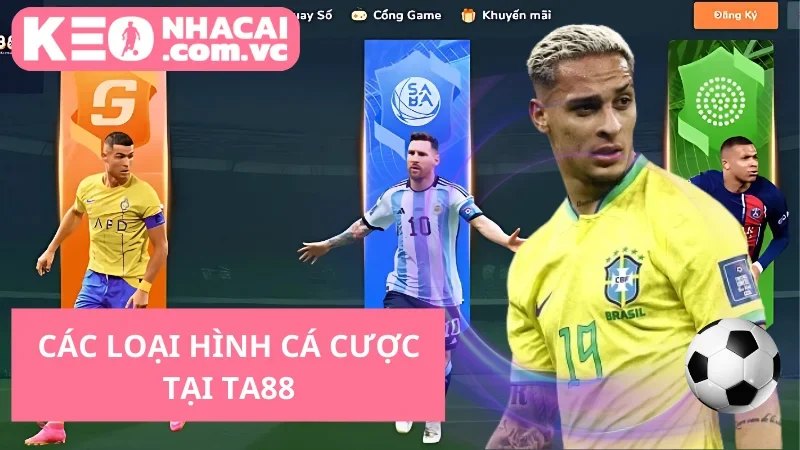 Các loại hình cá cược tại TA88