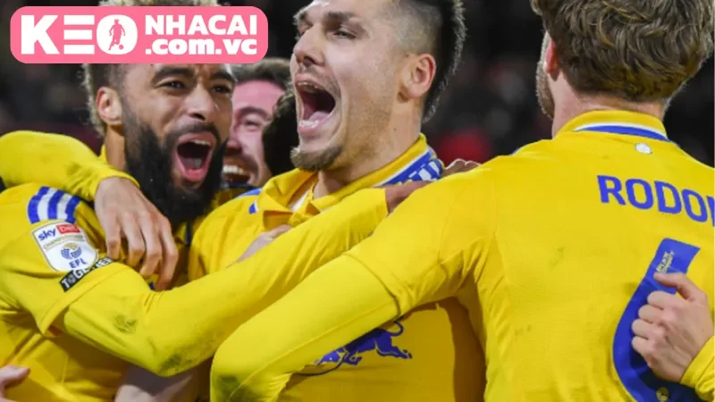 Tin tức lực lượng trước trận Leeds United vs Bristol City