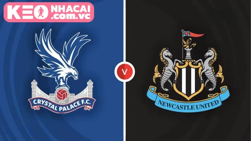 Nhận định trận đấu giữa Newcastle United vs Crystal Palace