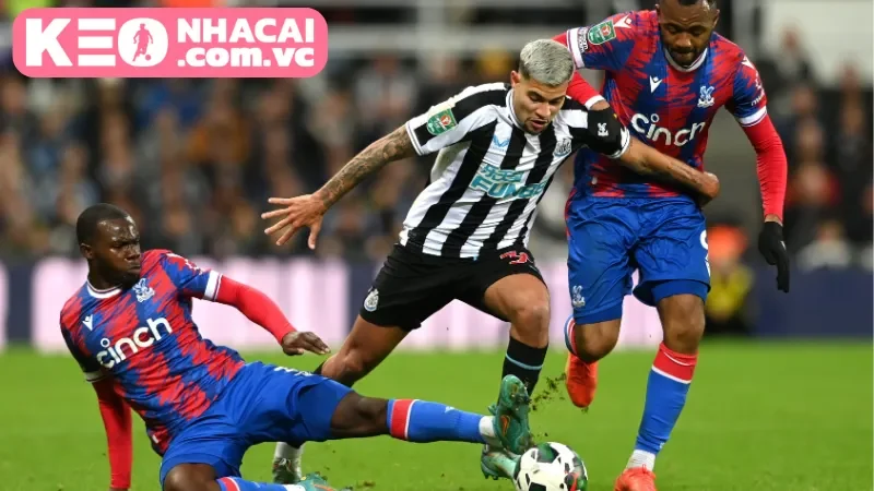 Cầu thủ chủ lực trong trận đấu giữa Newcastle United vs Crystal Palace