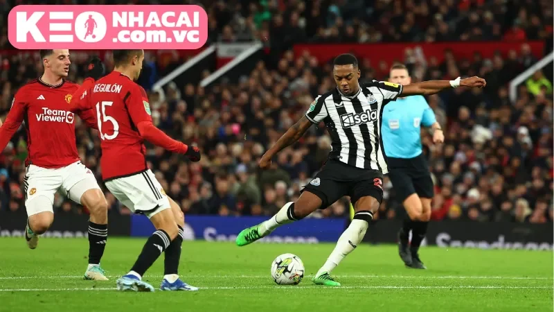 Tình hình chấn thương giữa Newcastle United Vs Manchester United