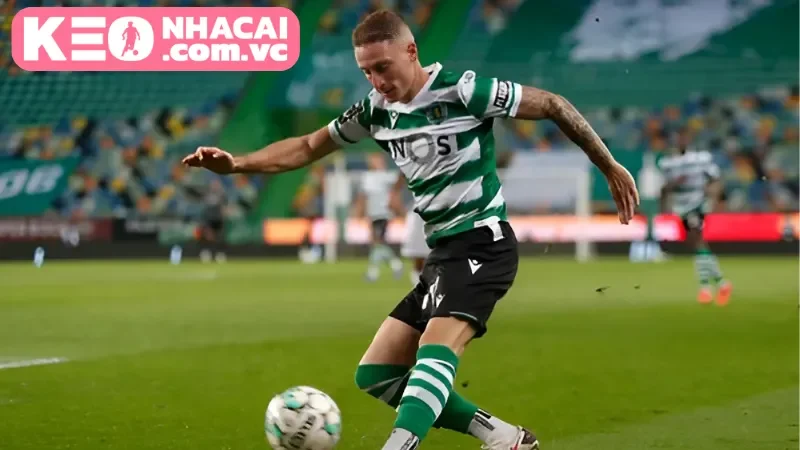 Sporting Lisbon vs Moreirense – Ngày 18/04/2025