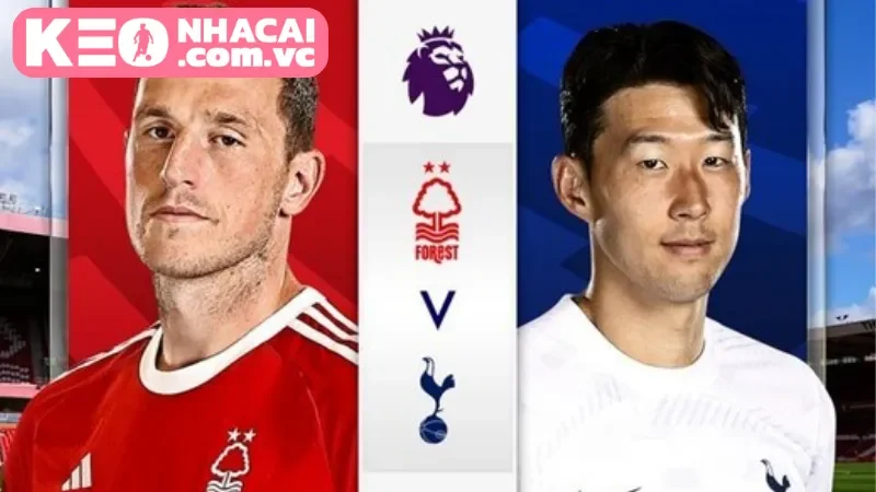 Tình hình lực lượng của hai đội trước giờ bóng lăn