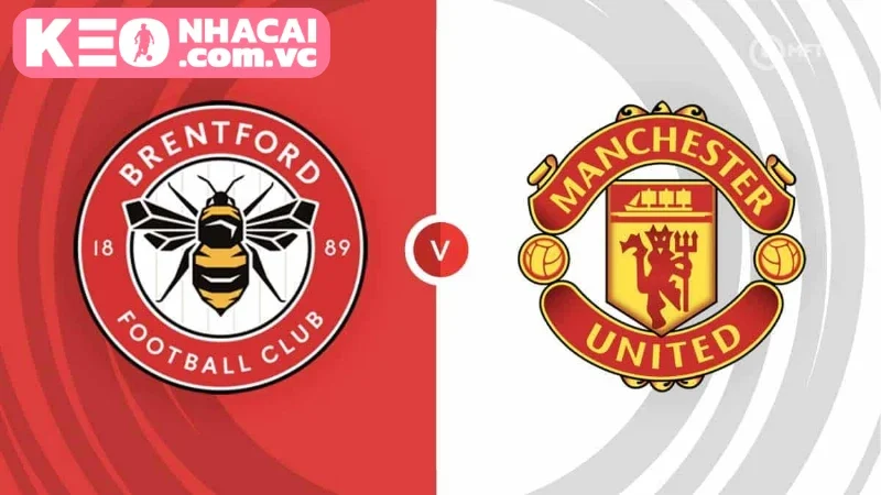 Nhận định cơ bản về trận đấu Brentford vs Manchester United