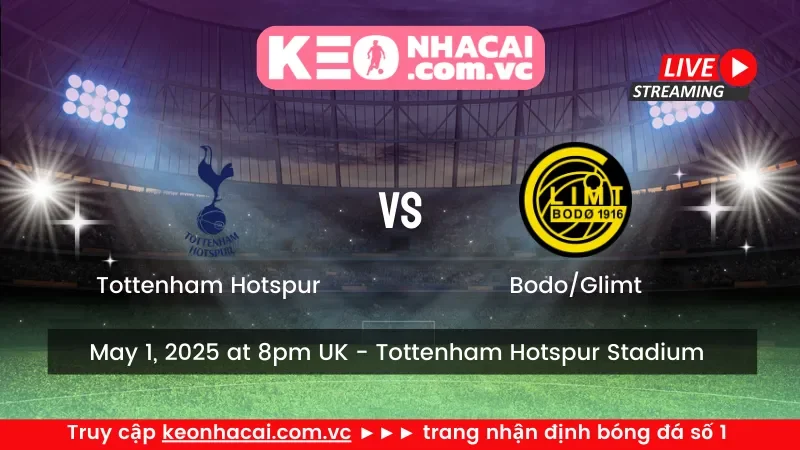 Tottenham Hotspur vs Bodo/Glimt