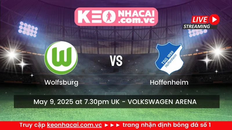 Wolfsburg vs Hoffenheim