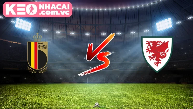 Tổng quan về trận đối đầy kịch tính Bỉ vs Xứ Wales