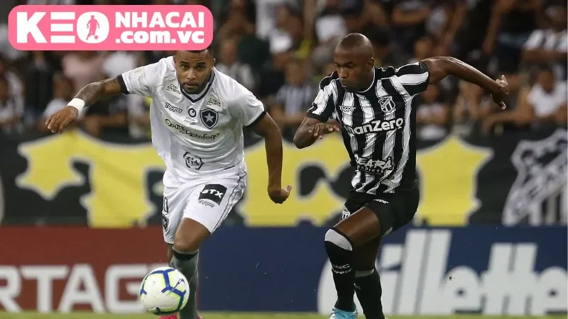 Chiến thuật khác biệt của Botafogo vs. Ceara