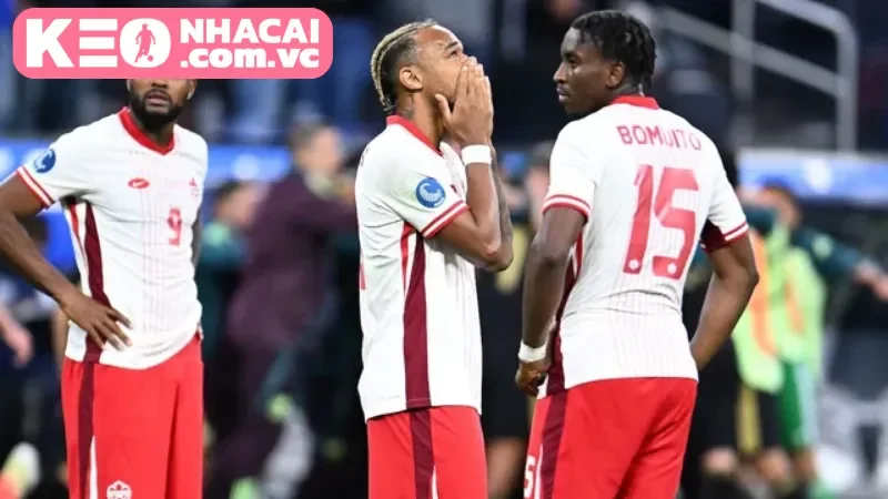 Tỷ lệ cược hợp ý và an toàn trong trận Canada vs Honduras