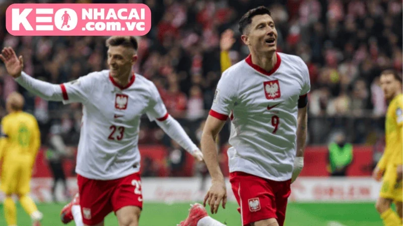 Cập nhật tình hình và lực lượng thi đấu Phần Lan vs Ba Lan