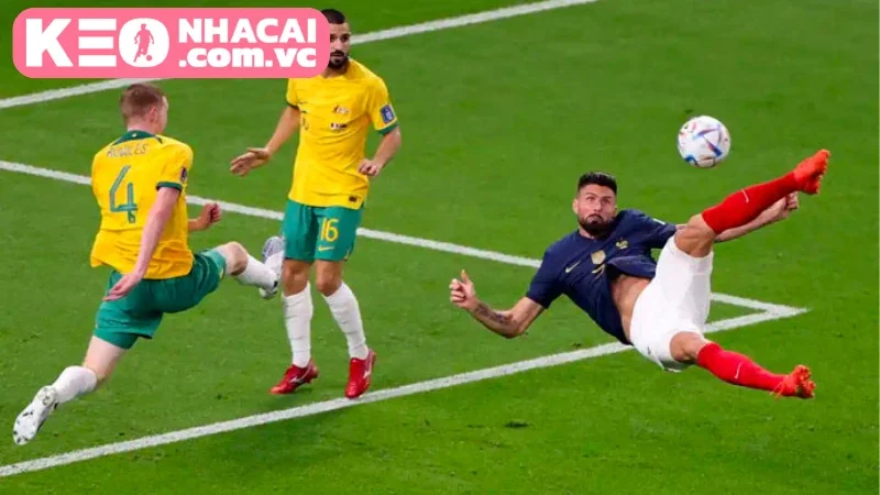 Tỷ lệ bắt kèo theo gợi ý từ chuyên gia