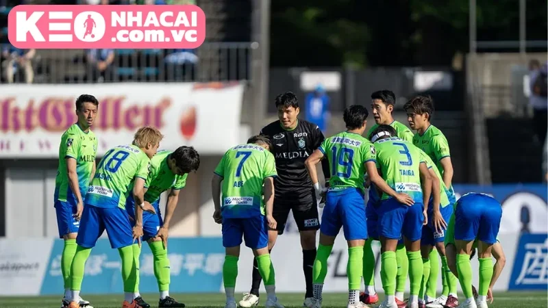 Tình hình đội hình thi đấu của Shonan Bellmare và Yokohama F Marinos