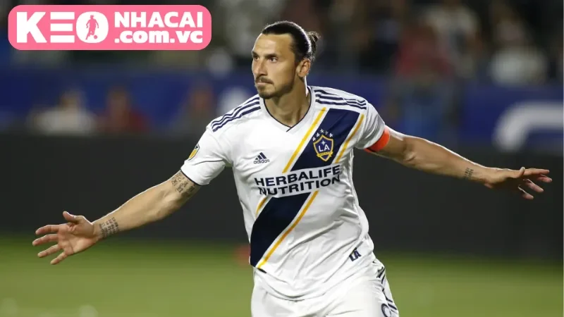 Dự đoán tỷ số từ giới chuyên môn giữa St Louis City vs Los Angeles Galaxy
