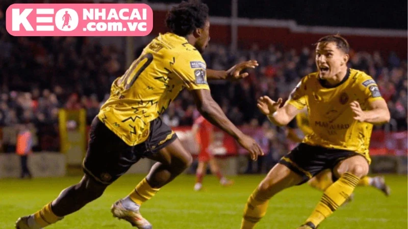 Xu hướng kèo cược St Patrick's Athletic vs Shelbourne theo chuyên gia